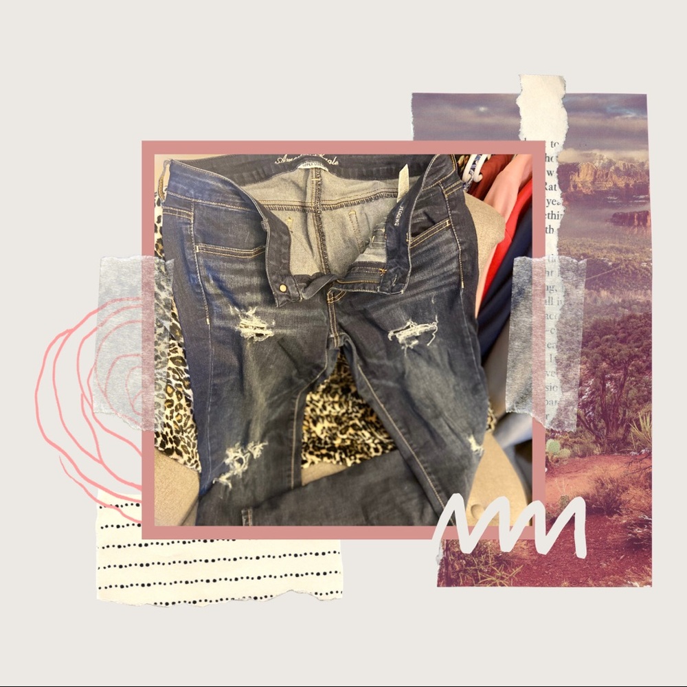 American Eagle Skinny Distressed Jegging
